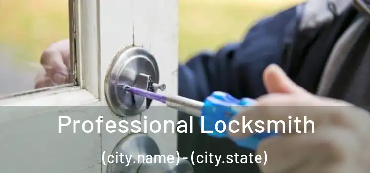 Professional Locksmith (city.name) - (city.state)